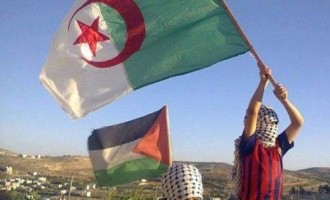 L’Algérie congédie l’Ambassadeur de l’Arabie Saoudite, qui traite le Hamas de groupe terroriste !