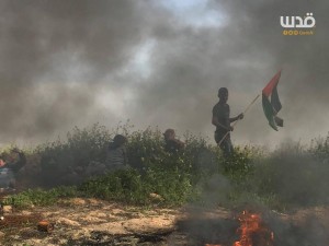 Au moins 3 manifestants palestiniens ont été blessés par des tirs des forces de l'occupation1