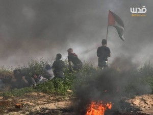 Au moins 3 manifestants palestiniens ont été blessés par des tirs des forces de l'occupation2