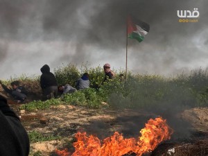 Au moins 3 manifestants palestiniens ont été blessés par des tirs des forces de l'occupation3