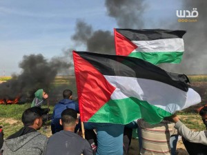 Au moins 3 manifestants palestiniens ont été blessés par des tirs des forces de l'occupation4