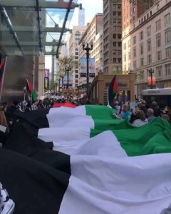 Manifestation à Chicago pour protester contre les crimes israéliens en cours contre des palestiniens innocents à Gaza4