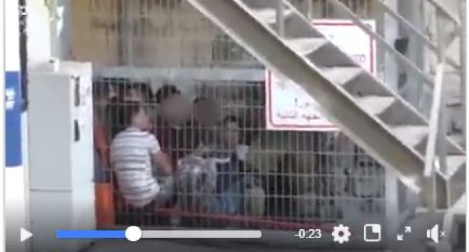 Regardez comment le régime israélien enferme les enfants palestiniens dans des cages