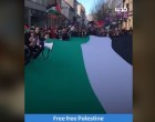 REGARDEZ | Du monde entier, les gens manifestent pour exprimer leur solidarité avec la cause palestinienne, et le rejet du « plan de paix » de Trump.