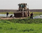 VIDEO CHOC: Un palestinien sauvagement écrasé par un bulldozer sioniste!