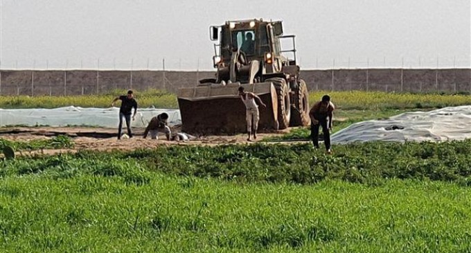 VIDEO CHOC: Un palestinien sauvagement écrasé par un bulldozer sioniste!