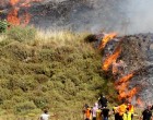 Des colons israéliens ont incendié des terres agricoles à Naplouse