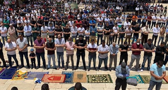 Des dizaines de milliers de personnes assistent à la prière du vendredi à la mosquée Aqsa