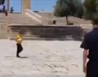 Vidéo | La police israélienne empêche les enfants palestiniens de jouer dans la cour de la mosquée Al Aqsa pour permettre les raids des colons dans la sainte mosquée