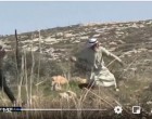 Regardez | Un vieil homme palestinien affronte les forces d’occupation israéliennes lors des affrontements dans le village de Deir Jarir en Cisjordanie occupée