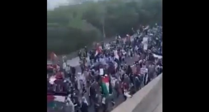 Vidéo | Des dizaines de milliers de manifestants pro-palestiniens défilent à Detroit, Michigan, pour soutenir le peuple palestinien et pour protester contre l’agression israélienne sur Gaza