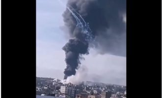 Urgent Gaza : Le directeur de la défense civile dans le nord de Gaza confirme que, depuis ce matin, l’occupation a tiré 8 obus au phosphore blanc, interdits par le droit international.