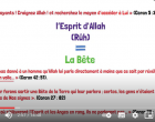 VIDEO: 5 – Comment connaitre ALLAH ?