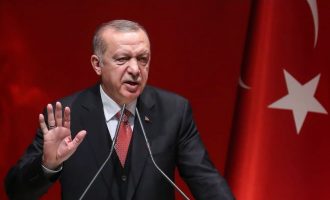 Erdogan condamne les attentats en Palestine occupée, les qualifiant de « terroristes »