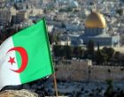 L’Algérie exhorte le Conseil de sécurité à protéger les Palestiniens des attaques israéliennes