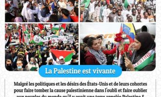 La Palestine est vivante