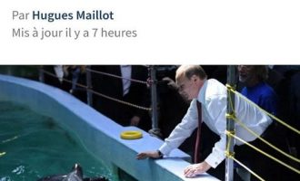 ATTENTION ! Poutine contrôlerait les dauphins (le Figaro) ?